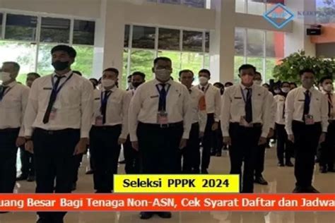 INFO CASN Seleksi PPPK 2024 Peluang Besar Bagi Tenaga Non ASN Cek