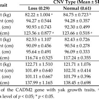 The Two Copy Number Variation Regions Of The CADM2 Gene The Yellow