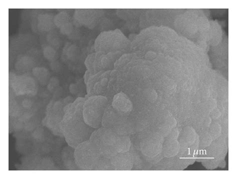 Sem Micrographs Of La2o2co3 Layers Obtained By 5 6 Steps Of 30 Min Download Scientific Diagram