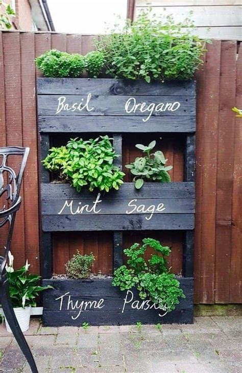 Pin By Ana Carla Pontes Lottici On Jardim Herb Garden Design Herb