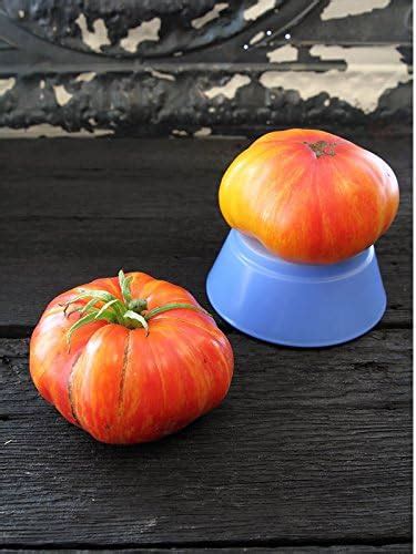 Amazon Organic Mr Stripey Tomato Seeds Seeds Organic