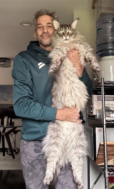 Hes The Worlds Longest Cat If You Pull Hard Enough Ramericandad