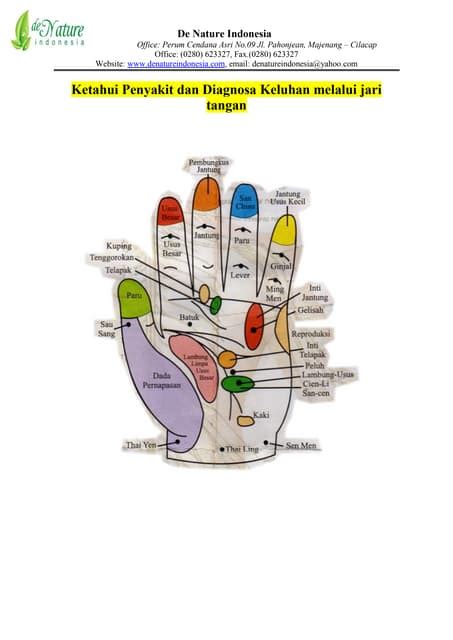 Diagnosa Penyakit Lewat Telapak Tangan 1 1 Pdf