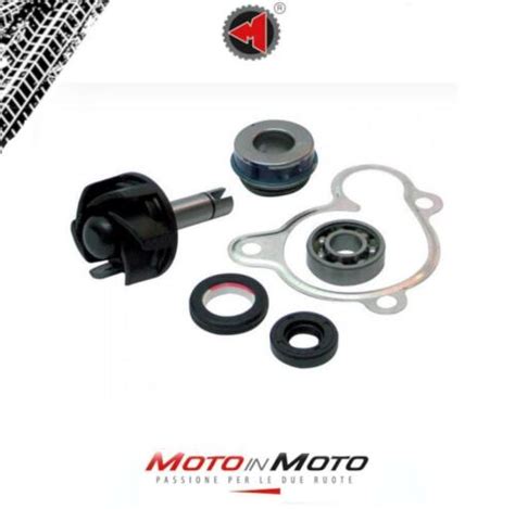 Set Révision Pompe à Eau Malaguti Madison S 250 1999 2000 2001 Mot de