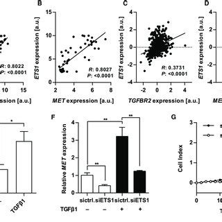 MiR 128 3p Negatively Correlates With MET Expression A Correlation