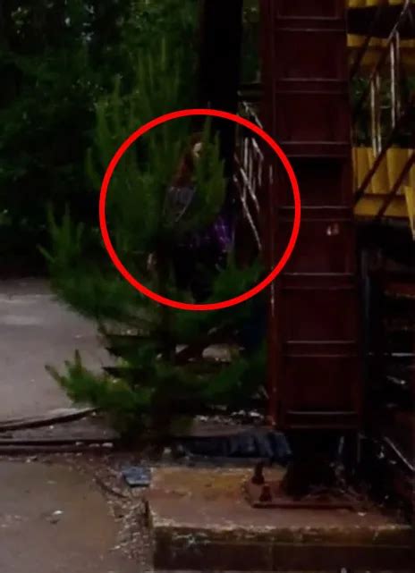 Strange Naked Creature Spotted On Google Street View Need To Know
