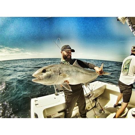 Greater Amberjack Florida Sportsman