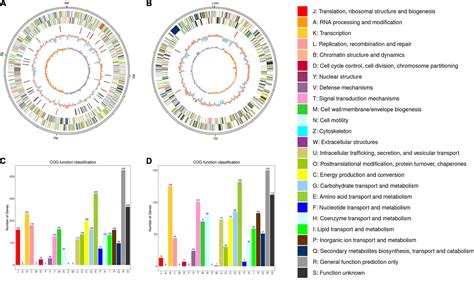 Frontiers Complete Genome Sequence Analysis Of Ralstonia Solanacearum