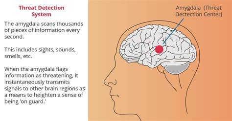 Five Major Anxiety Disorders And A Common Cause — Invictus ...