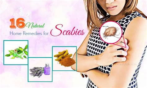 16 Science-Based Natural Home Remedies For Scabies That Work