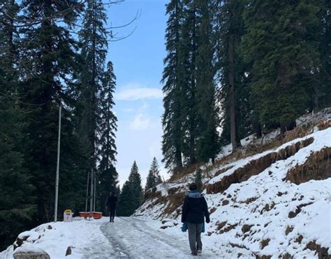 Jalori Pass Trek From Jibhi Book Package Off Banbanjara