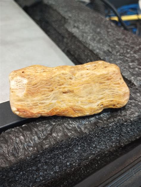 Wondering if anyone knows what these 2 bizarre looking rocks are? Found