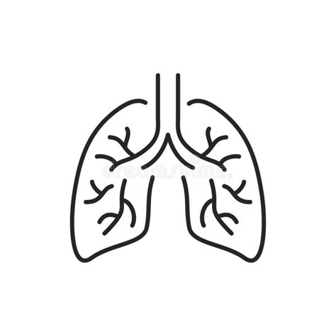 Stroke Lungs Stock Illustrations Stroke Lungs Stock