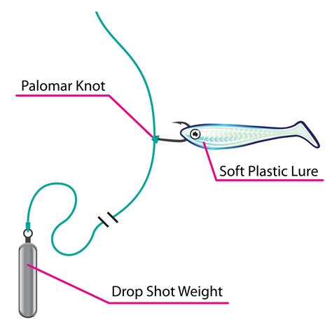 The Ultimate Guide To The Drop Shot Rig For Bass Fishing FishRook