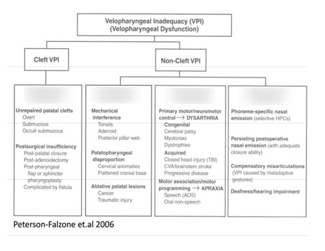 vpi chart diagram quizlet
