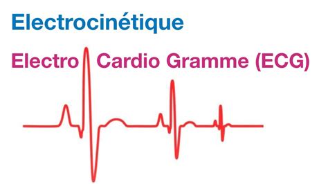 TP électro cardio gramme ECG YouTube