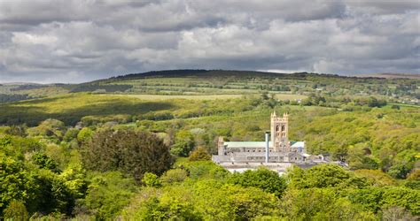 Buckfast Abbey Wine - Buckie - The Foodie Travel Guide