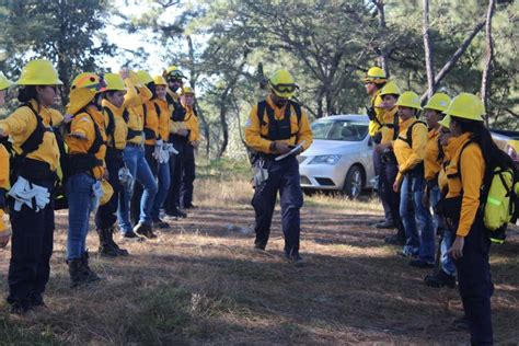 Capacitan A 1ra Brigada De Mujeres Contra Incendios Forestales ~ Mira