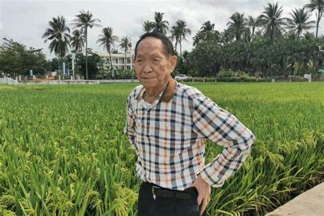 多国限制粮食出口，袁隆平：中国不会出现“粮荒” 完全能够自给自足 B58b快报