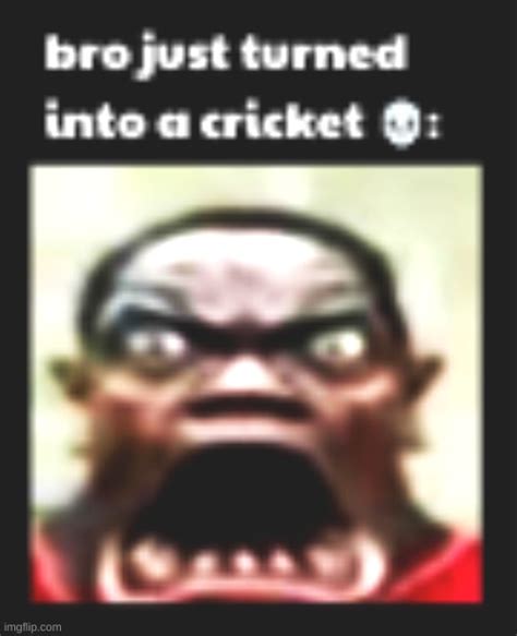 Bro just turned into a cricket - Imgflip