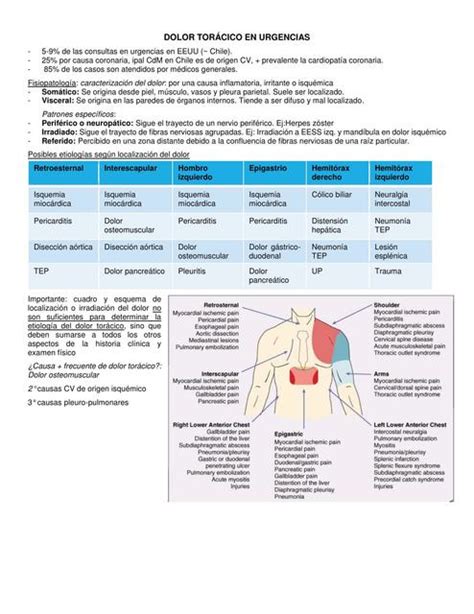 Resúmenes de Dolor torácico Descarga apuntes de Dolor torácico