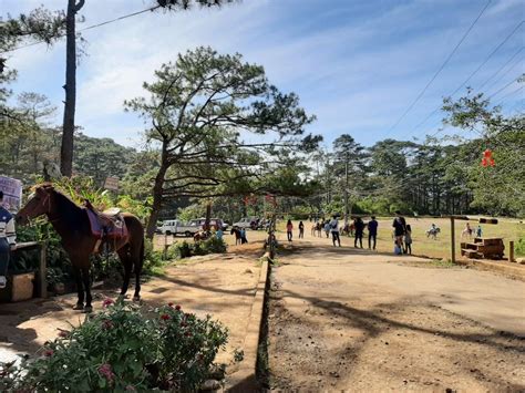 Horseback Ride Baguio City Camp John Hay Philippines Travel