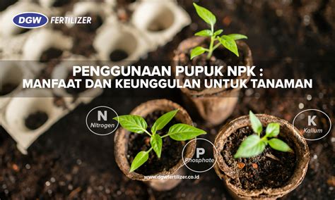 Penggunaan Pupuk Npk Manfaat Dan Keunggulan Untuk Tanaman Dgw