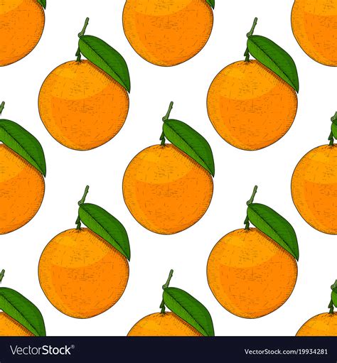 Oranges Hand Drawn Colored Sketch As Seamless Vector Image