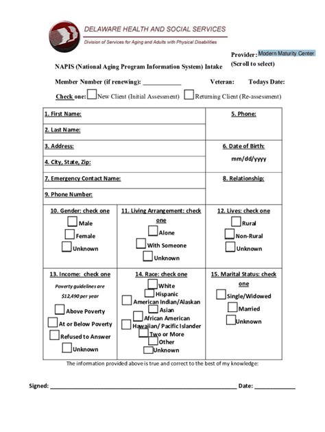 Fillable Online NAPIS National Aging Program Information System