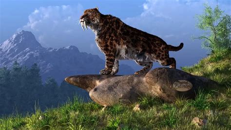 Smilodon Dinosaurs Pictures And Facts