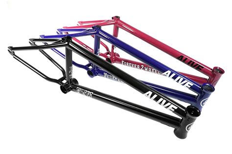 Ftw Frame Alive Industry Bmx専門のzen Distribution 輸入代理店