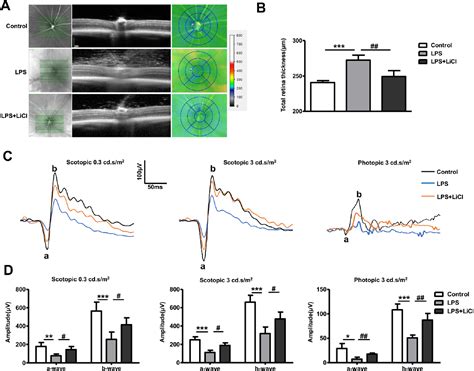 Figure From Lithium Chloride Exerts Anti Inflammatory And