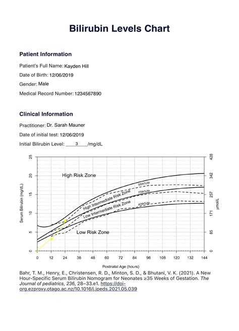 Bilirubin Levels Chart & Example | Free PDF Download