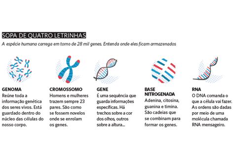 Os genes ao nosso alcance Veja Saúde