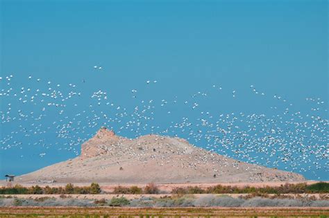 Bill Would Increase Federal Participation in Salton Sea Restoration ...