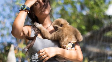 Zoological Wildlife Foundation Things To Do In Redlands Miami