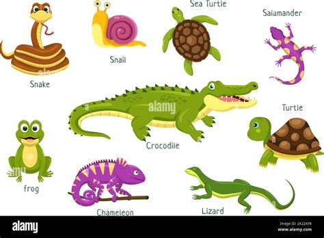 Set of Animal Reptile Template Hand Drawn Cartoon Flat Illustration ...