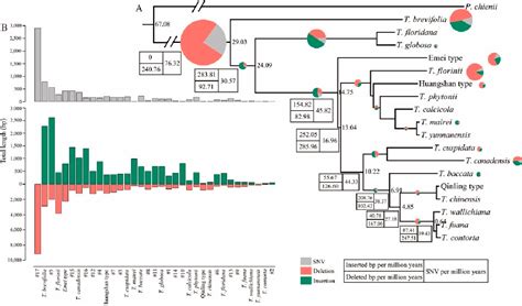 Figure 3 From Plastome Phylogenomics Provide Insight Into The Evolution