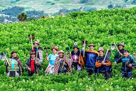 Día Del Campesino Homenaje Al Trabajo En El Campo En Pocas Palabras