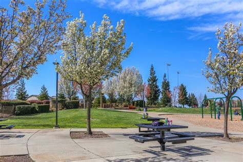 fun     rocklin ca  chief tourist