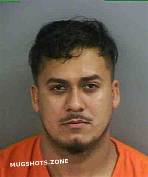 Hernandez Jose Elias Collier County Mugshots Zone