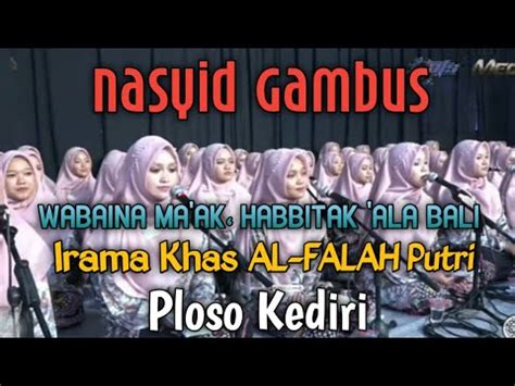 New Nasyid AL FALAH PUTRI HABBITAK X ALA BALI YouTube