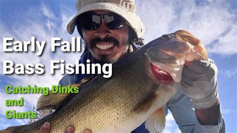 Early Fall Bass Fishing Catching Dinks And Giants Youtube