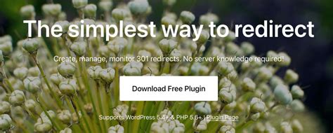 Wordpress Redirect Plugin Options Best Practices