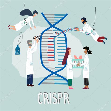 Los científicos ilustraron cómo funciona CRISPR CAS9 Investigación de