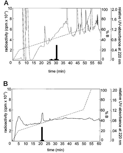 Purification Of The Cyanogen Bromide Cleaved Receptor Fragment By HPLC