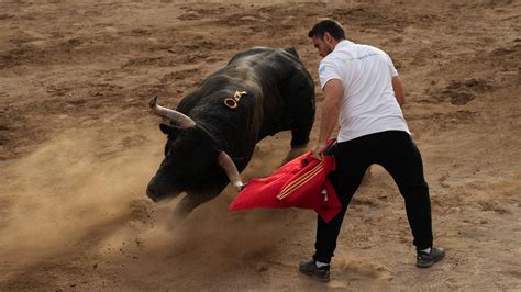 Festejos Bous al Carrer todos los pueblos de Valencia y Castellón que