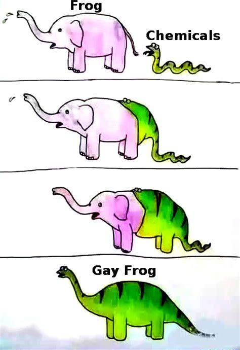 Gay Frogs R Memezfordayz