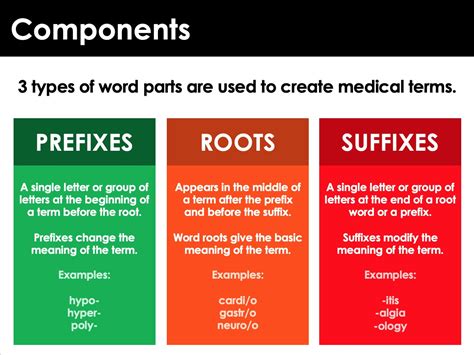 Medical And Directional Terminology For Anatomy Presentation Or Ppt