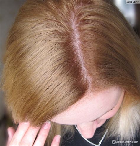 Краска для волос Wella Wellaton - «Тон 8/03 Ясень,в принципе неплохо ...